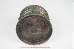 Foto von Bronzerippenziste (NHMW-PRAE-025462)